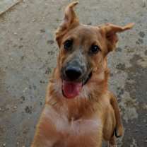 Thumbnail photo of FOLIE & DAISY #2