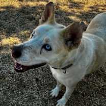 Thumbnail photo of Jack Snow #1