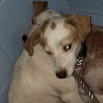 Thumbnail photo of Mushroom* #1