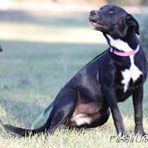 Thumbnail photo of Malibu #3