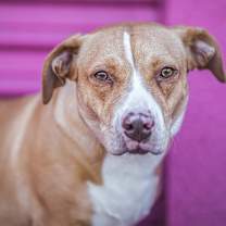 Thumbnail photo of Shirley #4