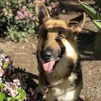 Thumbnail photo of Ivan #4