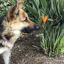 Thumbnail photo of Ivan #2