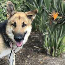 Thumbnail photo of Ivan #3