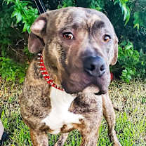 Thumbnail photo of Max #2