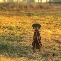 Thumbnail photo of Lizzie #4