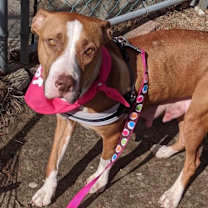 Thumbnail photo of Jolene #2