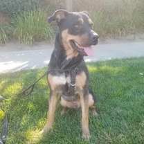 Thumbnail photo of Tyson #2
