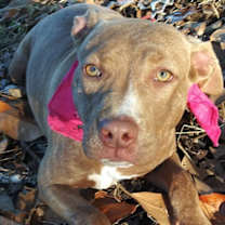 Thumbnail photo of Ally, what a darling girl!!! #2