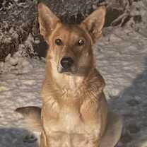 Thumbnail photo of Max #1