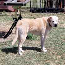 Thumbnail photo of Doug #1