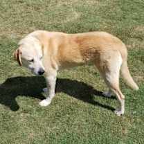 Thumbnail photo of Doug #2