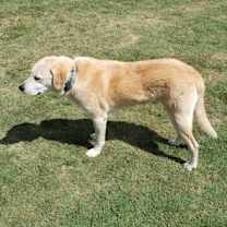 Thumbnail photo of Doug #3