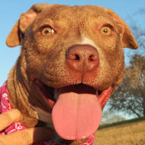 Thumbnail photo of Ally - Darling baby girl! #1