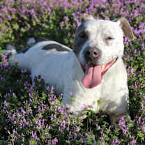 Thumbnail photo of Cassy #2