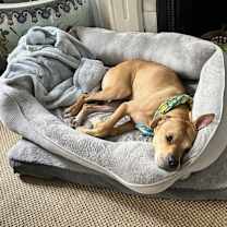 Thumbnail photo of Jessa #3
