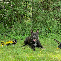 Thumbnail photo of Wednesday - LOWELL, IN #1