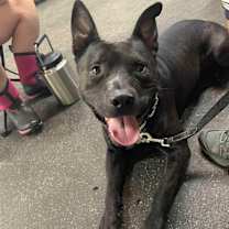 Thumbnail photo of Wednesday - LOWELL, IN #4