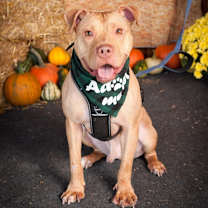 Thumbnail photo of Sam #3