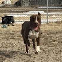 Thumbnail photo of Rusty #3