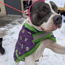 Thumbnail photo of Cleo #2