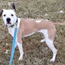 Thumbnail photo of Peaches #2