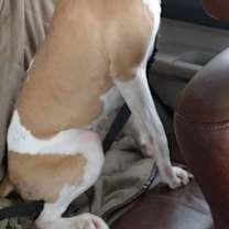 Thumbnail photo of Peaches #3