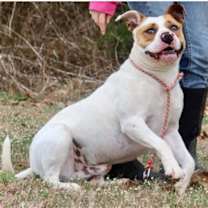 Thumbnail photo of Tug #3