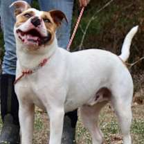 Thumbnail photo of Tug #1