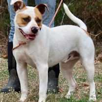 Thumbnail photo of Tug #2