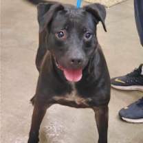 Thumbnail photo of Lola #1