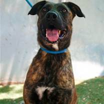 Thumbnail photo of Bonnie- ** #1