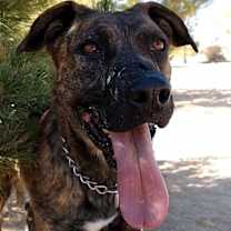 Thumbnail photo of Bonnie- ** #3