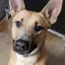 Thumbnail photo of Abel #1