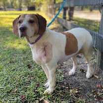 Thumbnail photo of Mya #1