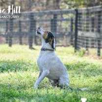 Thumbnail photo of Bubba #1