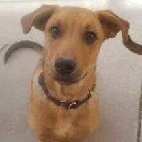 Thumbnail photo of Gene #1