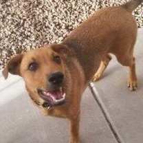 Thumbnail photo of Axl #1