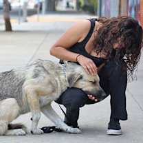 Thumbnail photo of Laurel von Laar #4