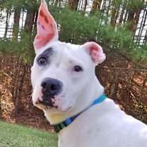 Thumbnail photo of Sally #1