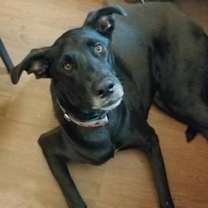 Thumbnail photo of Angel #2