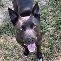 Thumbnail photo of Little Guy #2