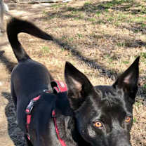 Thumbnail photo of Little Guy #1