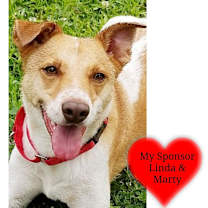 Thumbnail photo of Buddy #1