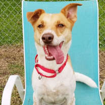 Thumbnail photo of Buddy #2