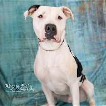 Thumbnail photo of Bodie #2