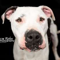 Thumbnail photo of Bodie #3