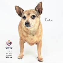 Thumbnail photo of Junior #1