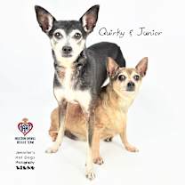 Thumbnail photo of Junior #3