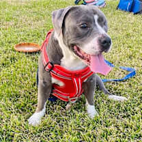 Thumbnail photo of Jasperi #1